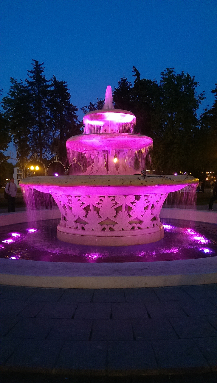 fontanas, Maskva, rožinė, neskuchniy sodas