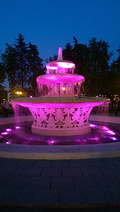 fuente, Moscú, rosa, jardín de Neskuchniy