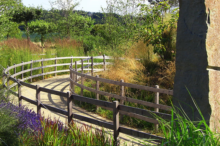 away, nature, green, plant, railing