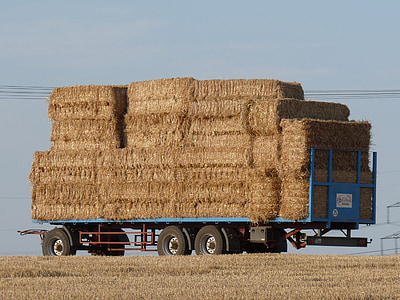 hay wagon, agriculture, harvest, straw bales, bale, hay, farm