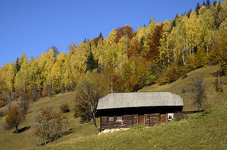 log cabin, mountains, valley, house, home, forest, trees