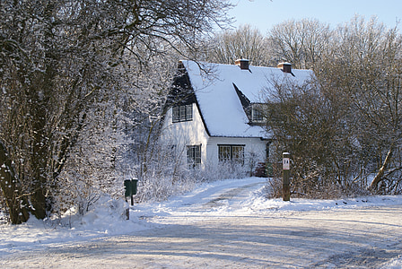 Winter, Schnee, Düne, Förster, Haus