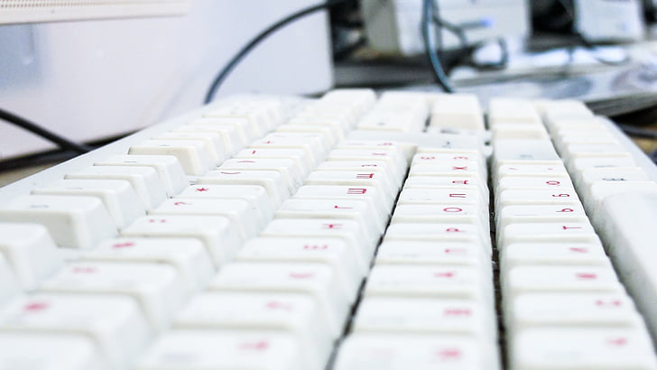 biela, ružová, s káblom, klávesnica, počítač, rozostrenie, elektronické