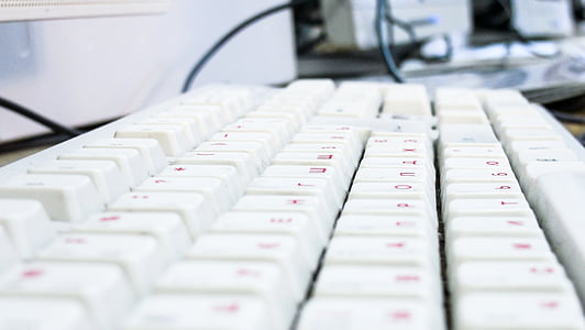 valge, roosa, juhtmega, klaviatuuri, arvuti, blur, elektroonilise