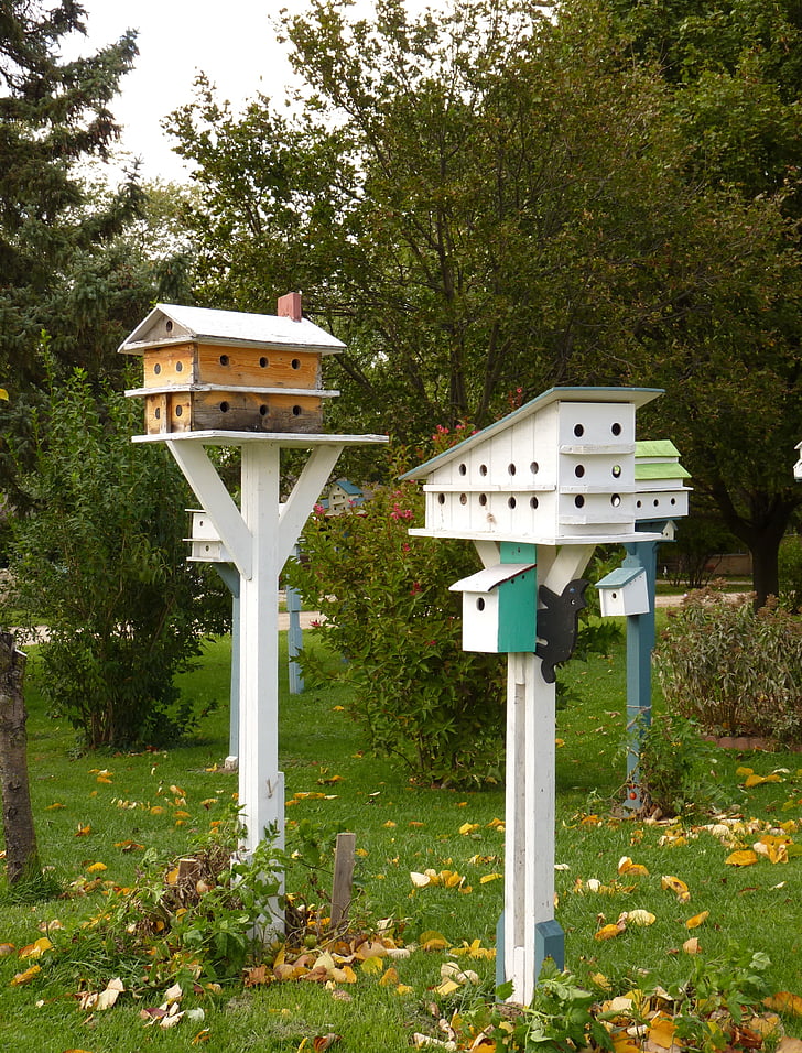birdhouse, bird, wildlife, house, nature, day, no people