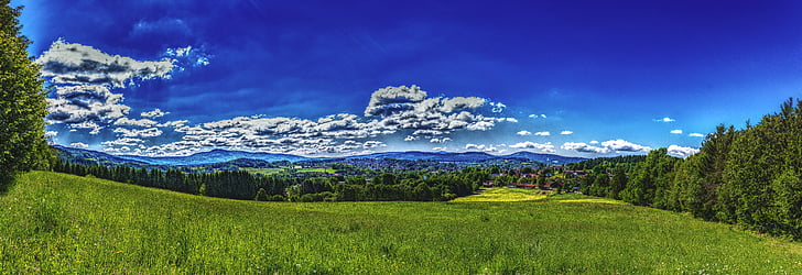 panorama, bavarian forest, forest, nature, sky, landscape, hill