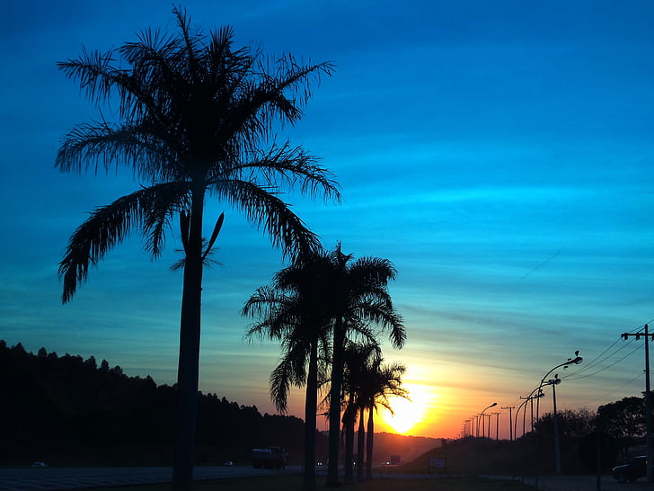 solnedgang, landskapet, kokos trær, natur