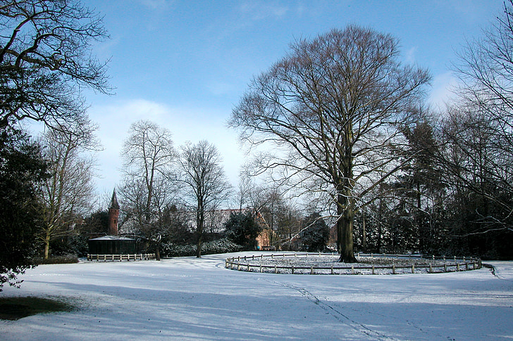 공원, 겨울, 나무, 자연, 조 경, 감기, 눈