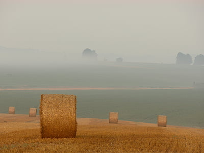 Landwirtschaft, Getreide, Feld, Nebel, Ernte, Heuballen