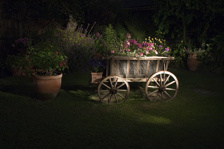 wagon, rustic, garden, nighttime, outdoors, torchlit, flora