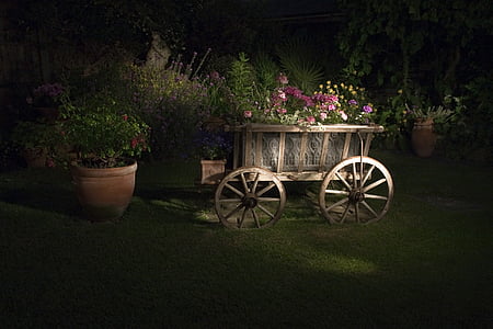 wagon, rustykalne, ogród, nocy, na zewnątrz, torchlit, Flora