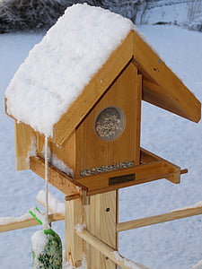 Casa di seme dell'uccello, seme dell'uccello, cibo per uccelli, inverno