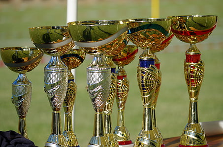 vinde, Cup, konkurrence, sted, belønning, medalje, fest