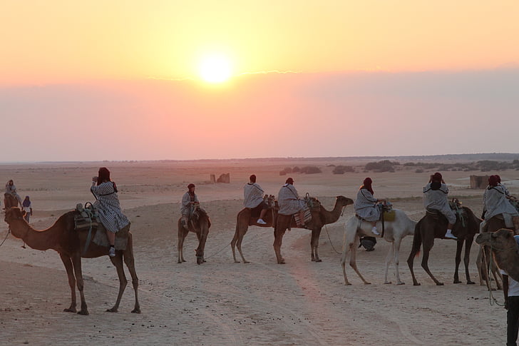 Tunisi, cammelli, Sahara, cielo, deserto, tramonto, turisti