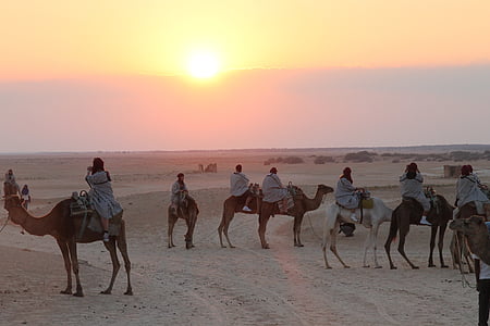 Tunis, camelos, Sahara, céu, deserto, pôr do sol, turistas