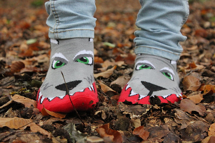 sokken, herfst, Wolf, Kleur