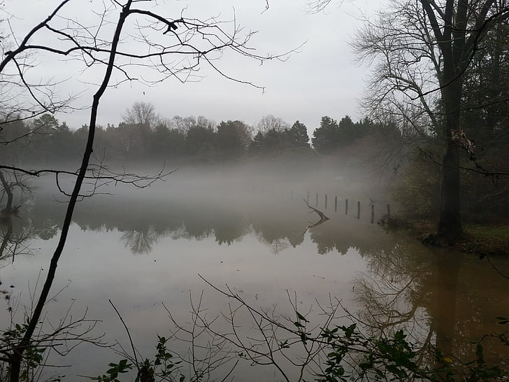 pond, lake, calm, gloomy, fog, autumn, spooky