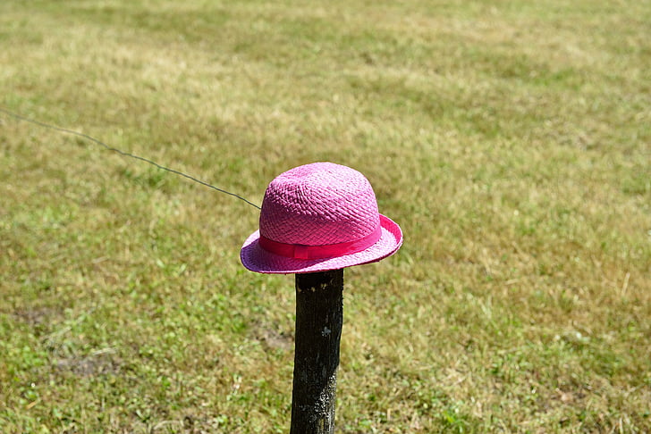 hat, meadow, wood pile, pink, leave, lonely, red