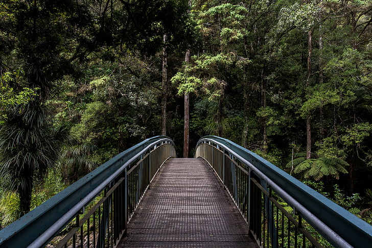bridge, railings, forest, structure, metal, architecture, walk