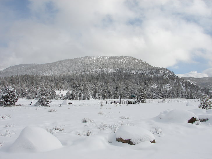 산, 눈, 겨울, 자연, 조 경, 스카이, 감기