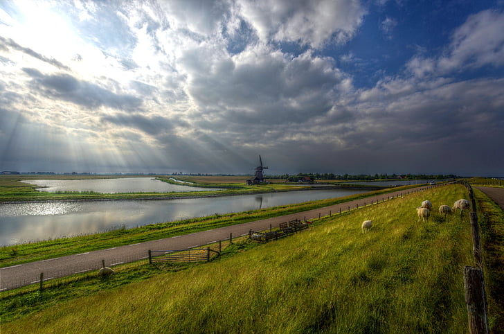texel, windmill, netherlands, water, sky, weather mood, sun