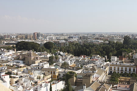 πόλη, Σεβίλλη, Ισπανία, Ανδαλουσία, σπίτια, από πάνω