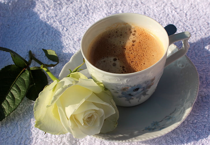 šálka kávy, pohár, káva, tanierik, dobré ráno, biela ruža, Sunshine