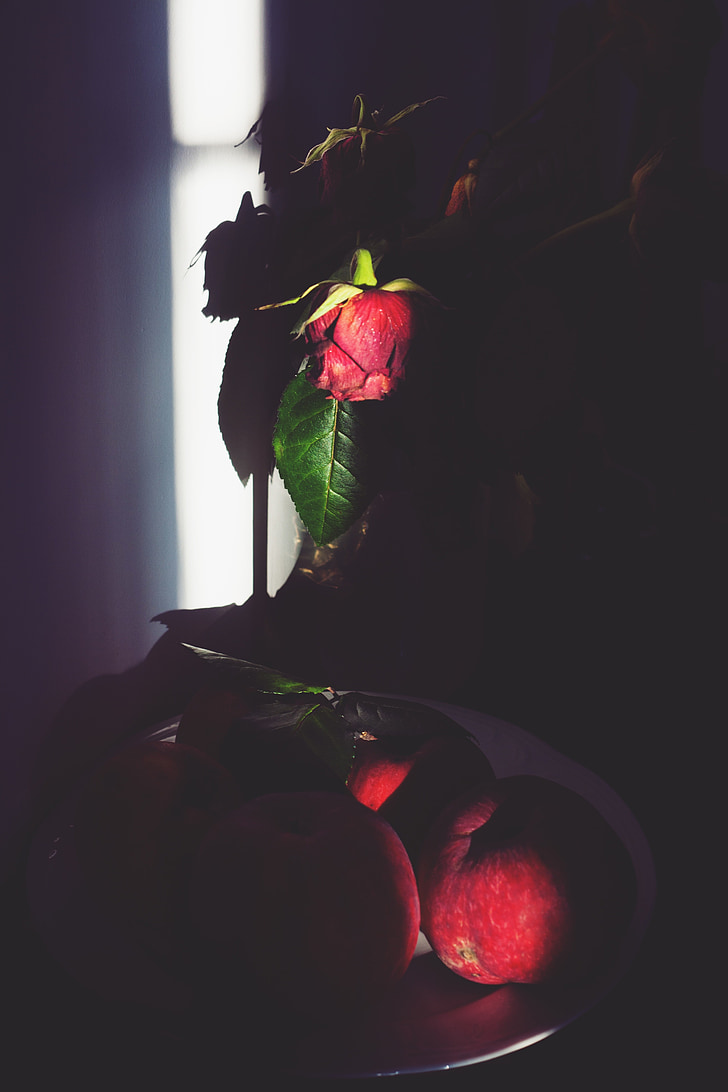 rose, shadows, apple, red, dead