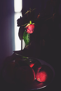 Róża, cienie, Jabłko, czerwony, martwe