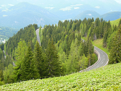 Serpentine, roßfeld, roßfeld jalan, Berchtesgaden, pegunungan, Alpine, hutan