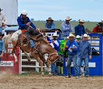 Cowboys, bronc lovas, Rodeo, Bronco, ló, ember, bakugrás