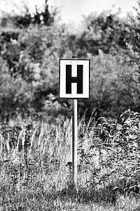 train, signs, lapsed, overgrown, railway, signposts, shield