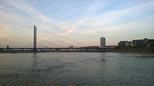 杜塞尔多夫, 莱茵河, 银行, 河, 德国, 河道景观, 广播电视塔