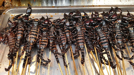 scorpioni, Scorpione, cibo, cibo di strada, pericoloso