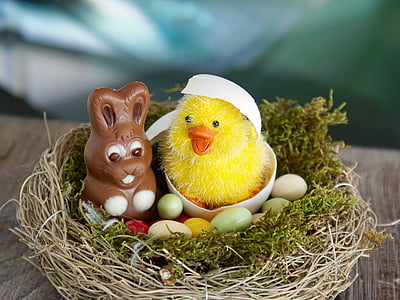 easter nest, easter, easter eggs, egg, happy easter, star, chicks