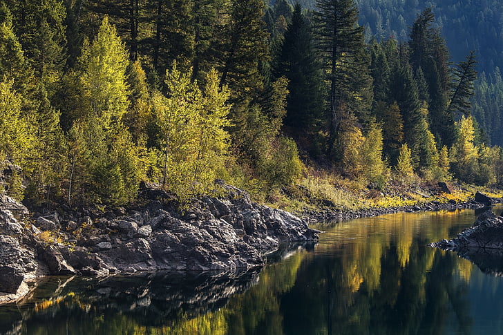 krajina, malebný, Flathead řeka, voda, reflexe, podzim, listoví