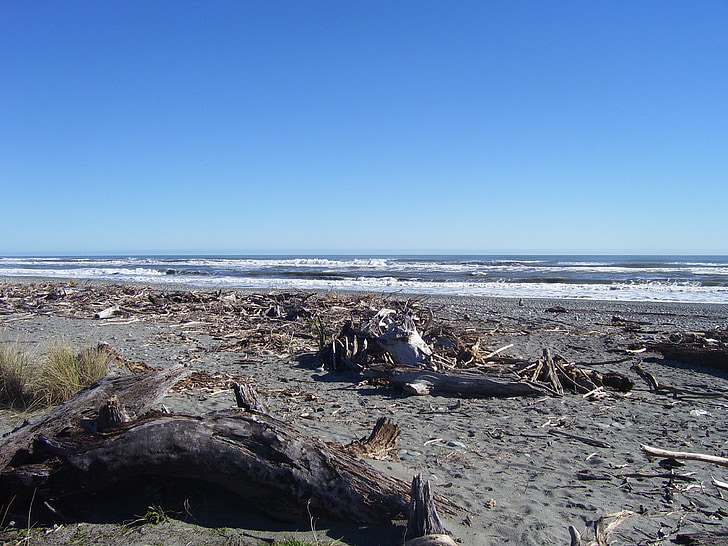 Beach, Új-Zéland, óceán, tengerpart, Shore, Driftwood, természet