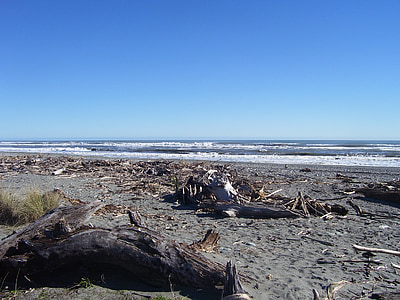 Beach, Uusi-Seelanti, Ocean, rannikko, Shore, Driftwood, Luonto