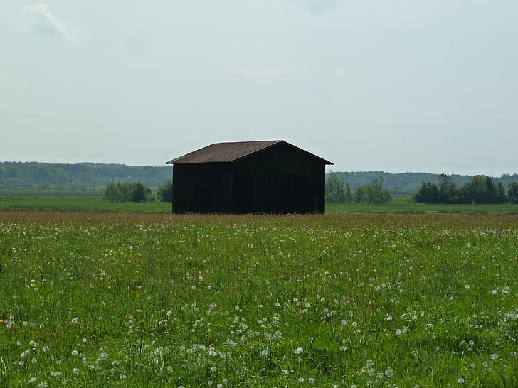 barn, summer, grass, meadow, nature, landscape, rural