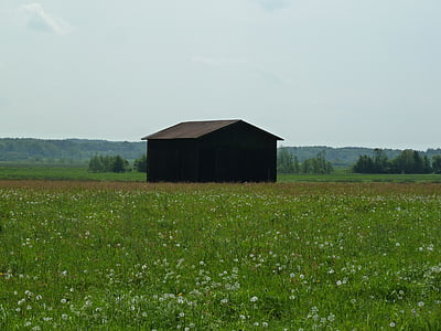 Barn, mùa hè, cỏ, Meadow, Thiên nhiên, cảnh quan, nông thôn