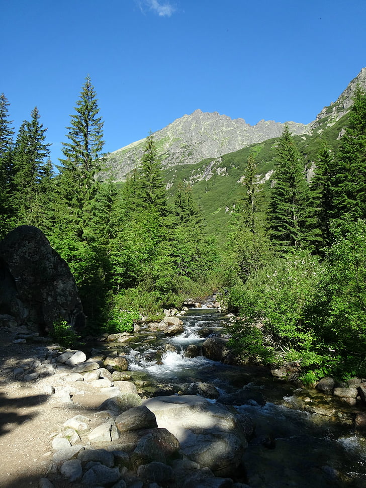 Tatry, bergen, Tatrabergen, landskap, naturen