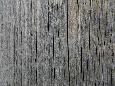 tree, old tree, the texture of the wood, wood background, boards, old boards, fence