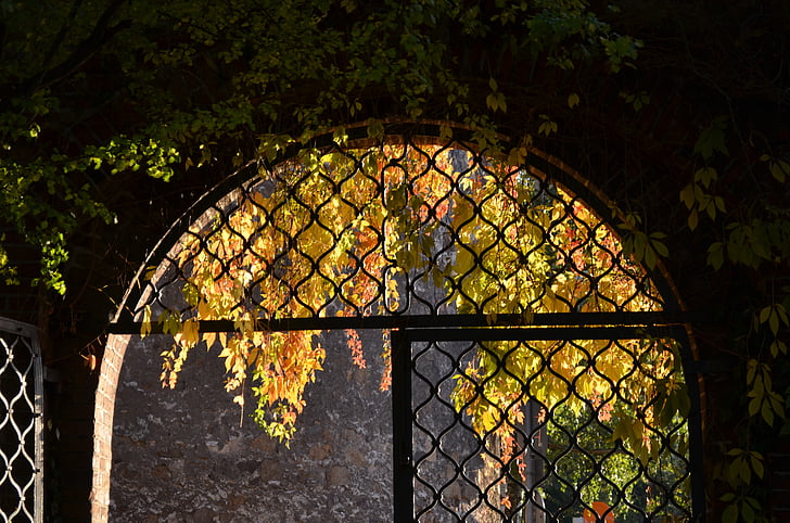 archway, autumn, input, door, leaves, portal, day