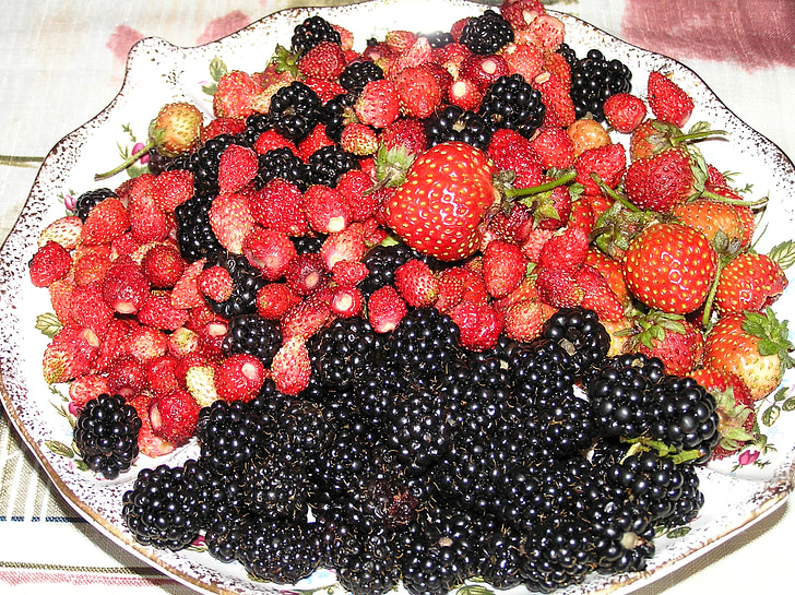 baga, jardim, colheita, morango silvestre, BlackBerry