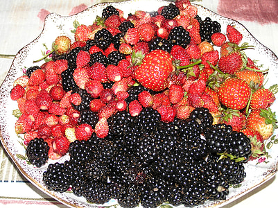 Berry, jardín, cosecha, fresa salvaje, BlackBerry