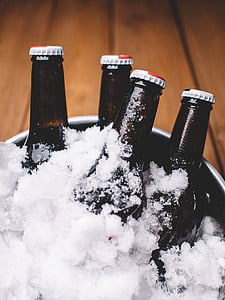 alus, gėrimas, buteliai, atšaldyti, kietas, ledo