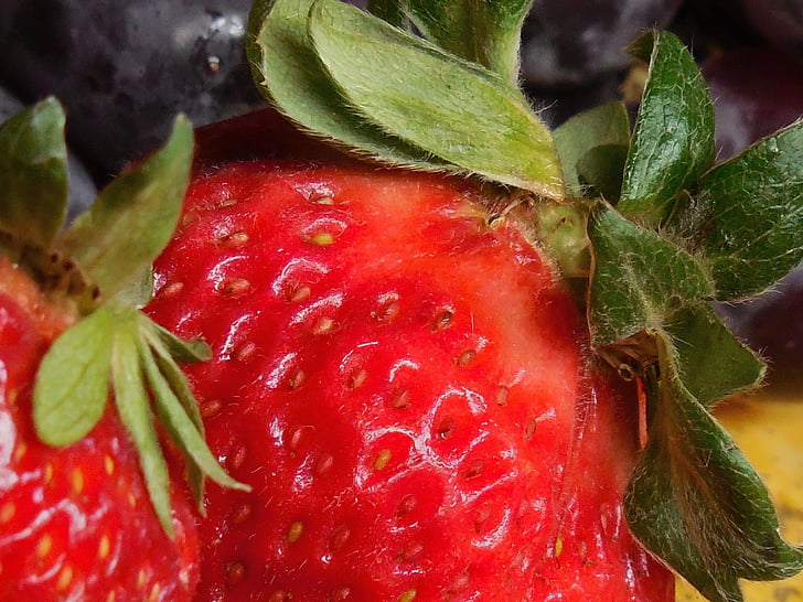 puu, maasikas, seemned, toidu, terve, värske, marja