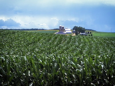 Pennsylvania, landschap, schilderachtige, Amish boerderij, platteland, land, platteland