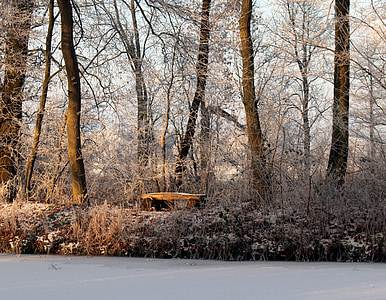 Frost, jezero, banka, sneg, LED, gozd, krajine