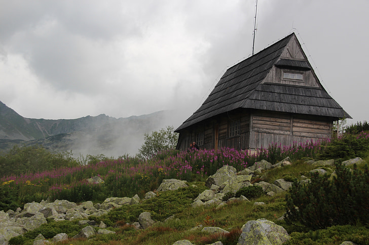 tågen, Tatry, bjerge, landskab, Dawn, natur, Polen